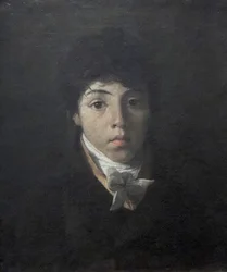 Portrait du jeune Teodoro Taunay